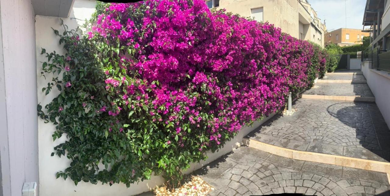 The Shabby House - Charming Seaside Retreat In Central Anzio, Steps From Beach And Train Station Exteriör bild