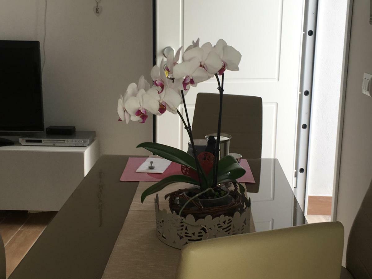 The Shabby House - Charming Seaside Retreat In Central Anzio, Steps From Beach And Train Station Exteriör bild